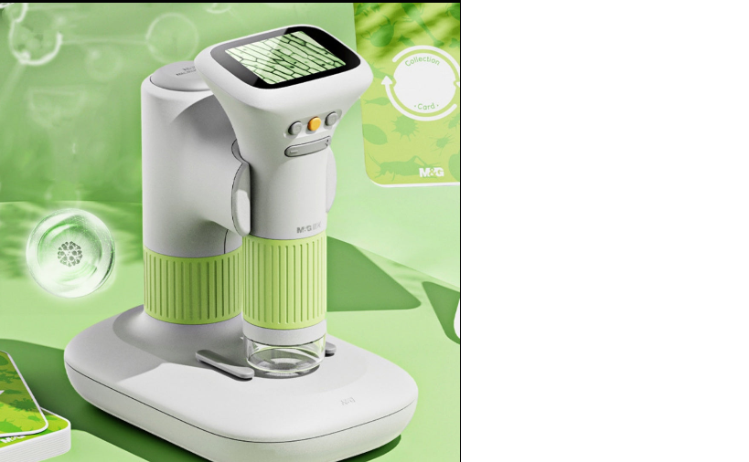 UV Toothbrush Sanitizer